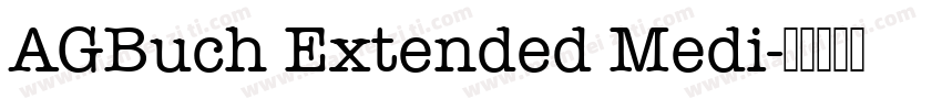 AGBuch Extended Medi字体转换